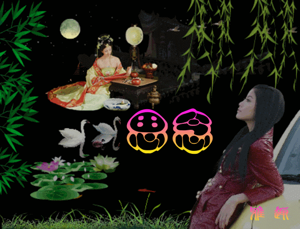 2020年一曲《风雨红尘心相连》送给我的心上人,好希望今生, 能牵你的