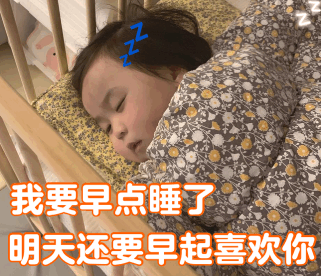 表情包丨快上车你们这些小可爱