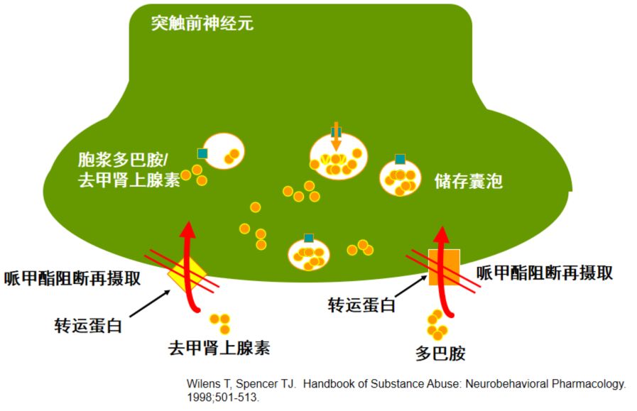 ADHD常用药物介绍_治疗