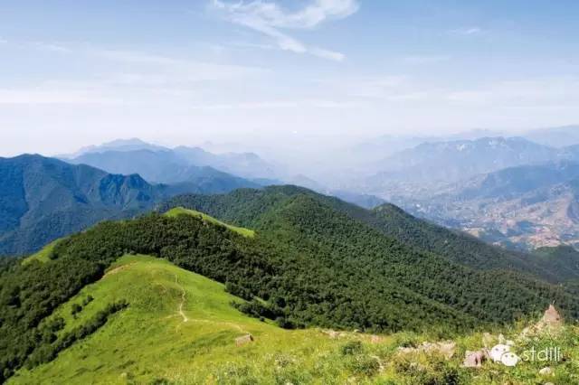 东灵山纬度:约北纬40度林线位置:海拔约2100米有的