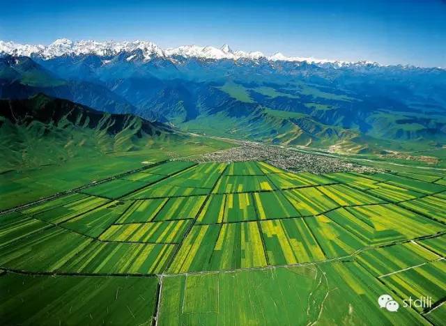森林在这儿止住了脚步:林线中国——《中国国家地理》单之蔷_高山