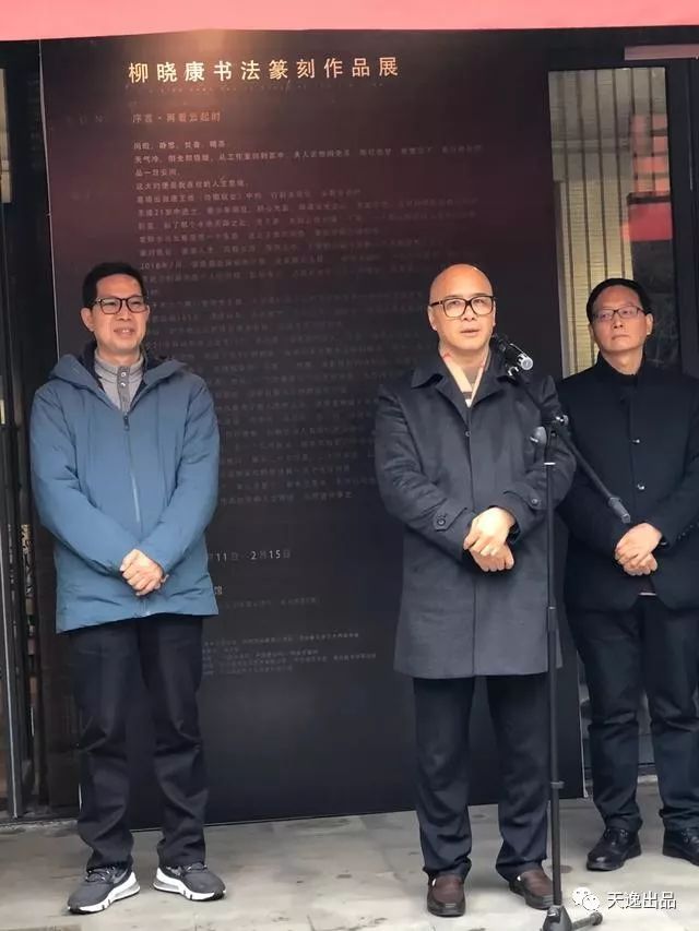 西泠名家玩书法篆刻再看云起时柳晓康