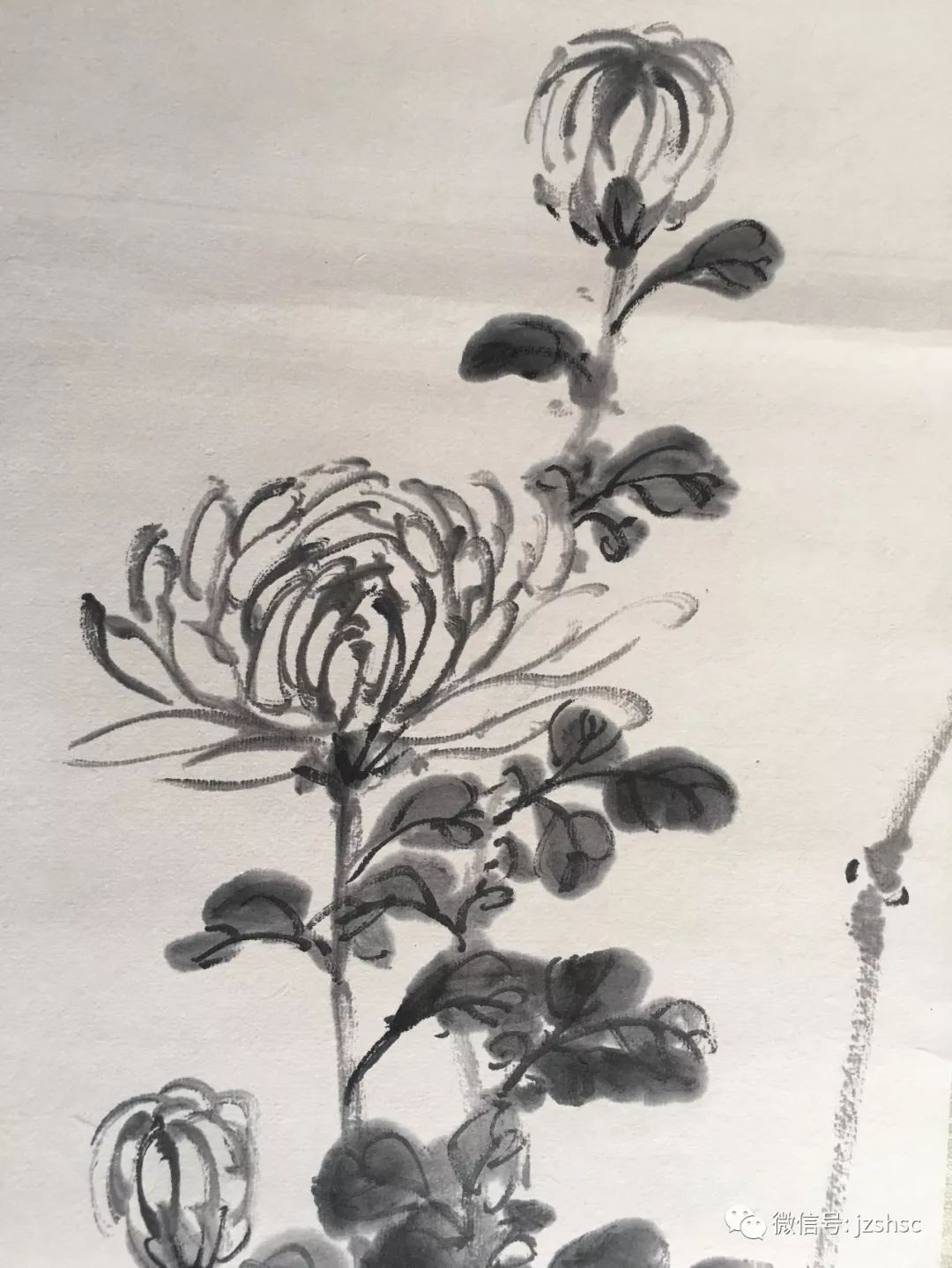 每日一画陈半丁原裱墨菊图高清版