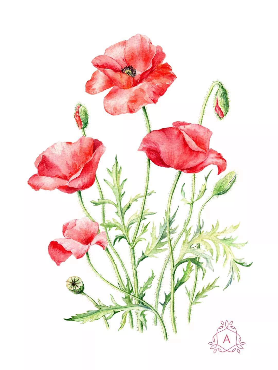 超美的水彩花卉画美人也美不要错过了