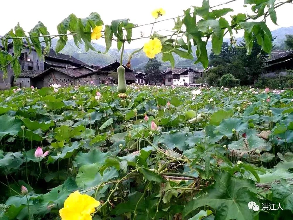 跟著洪江一中張老師遊高椅古村!_若水鎮