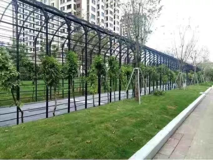 福州拆墙透绿敢叫城市换新颜