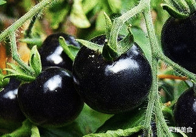 这是水果也是蔬菜不逛市场根本不知道这是啥反正我不敢吃