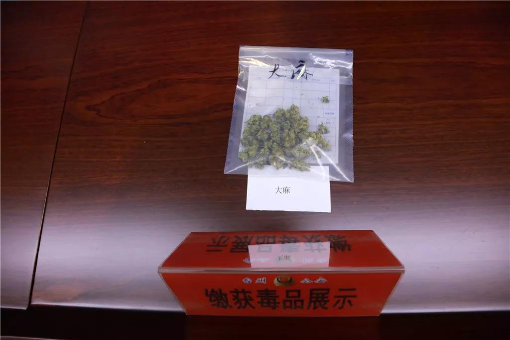邮票贴上皮肤就能吸毒?阴沟污水锁定涉毒案件?禁毒"云战"大揭秘!_毒品