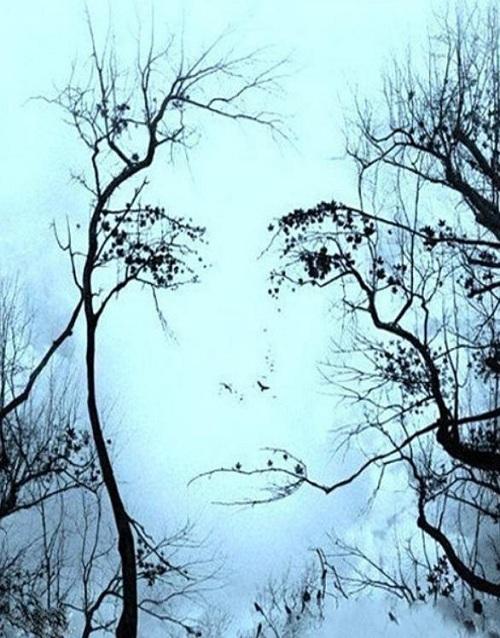 人类视觉系统的两个漏洞一个看不到一个乱联想