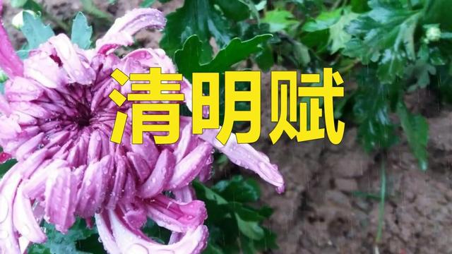 清明一首清明赋让我想起远方的妈妈愿天堂一切安好