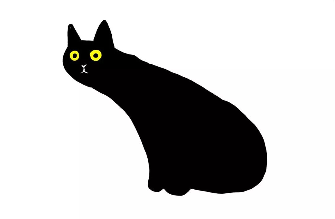 第一次听马勒音乐的黑猫贡献了一波沙雕表情包