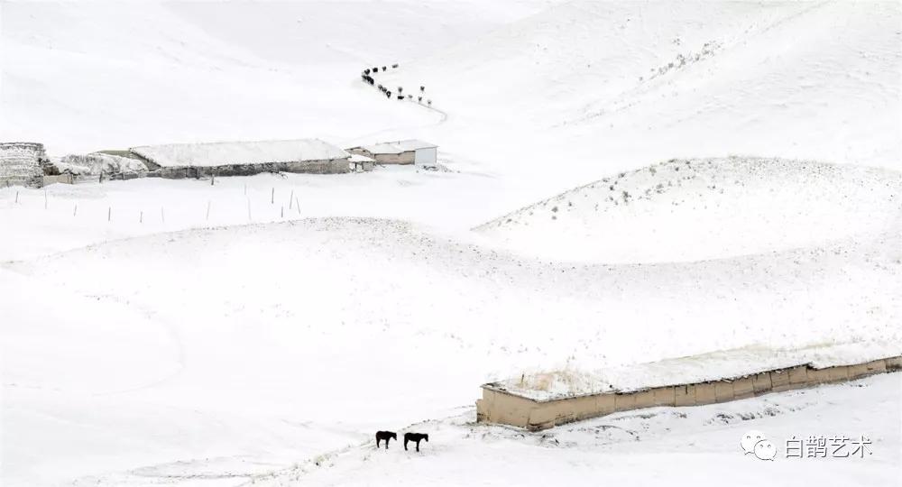 洗眼丨雪中攝畫水墨留白目所及處皆為畫