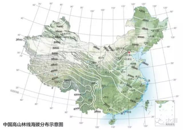 森林在这儿止住了脚步:林线中国——《中国国家地理》单之蔷_高山