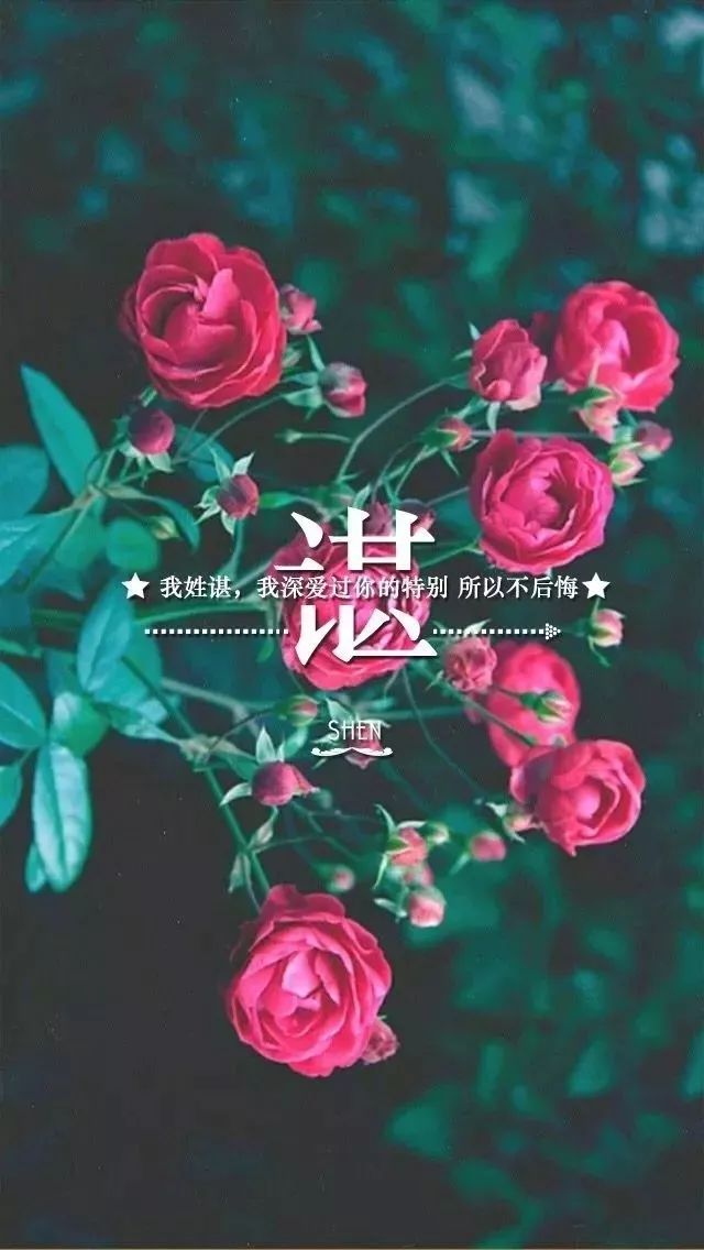 0113壁纸66张姓氏壁纸有你的姓吗