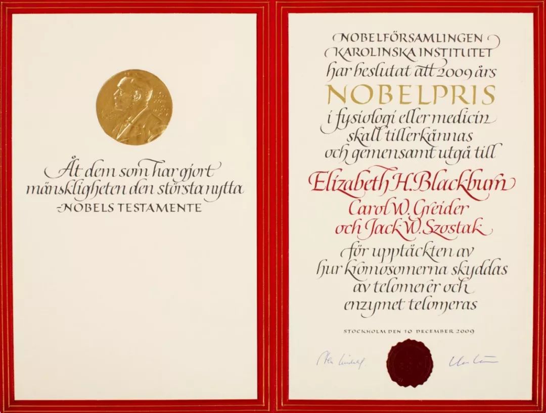 趣闻诺贝尔获奖证书设计每一张都是艺术品