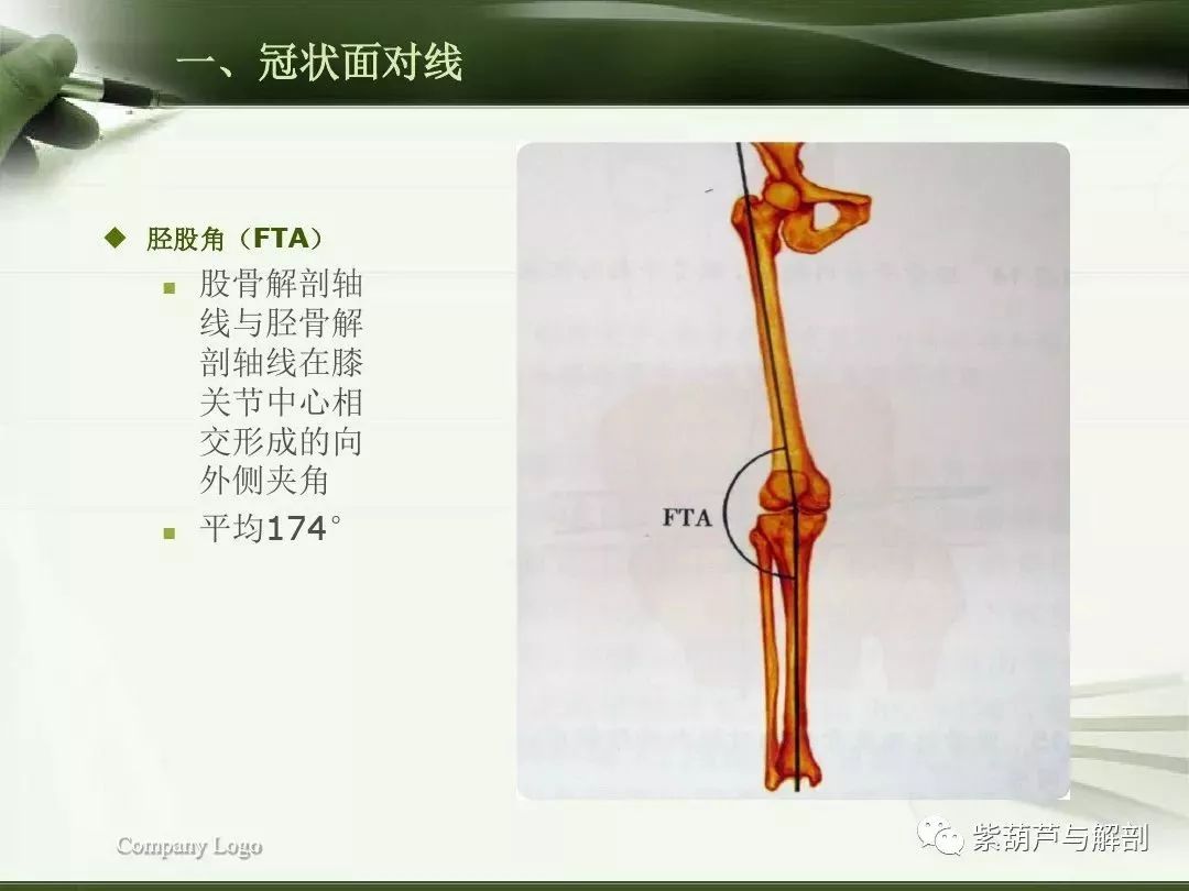 体态评估下肢生物力线检测及其临床意义