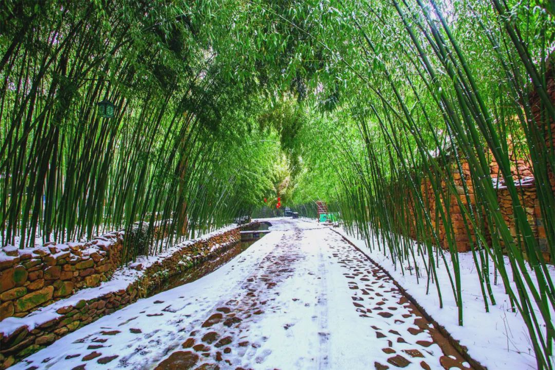 就向往江南的水韵,每一个下雪的日子又很庆幸生在北方,可以看雪,听雪