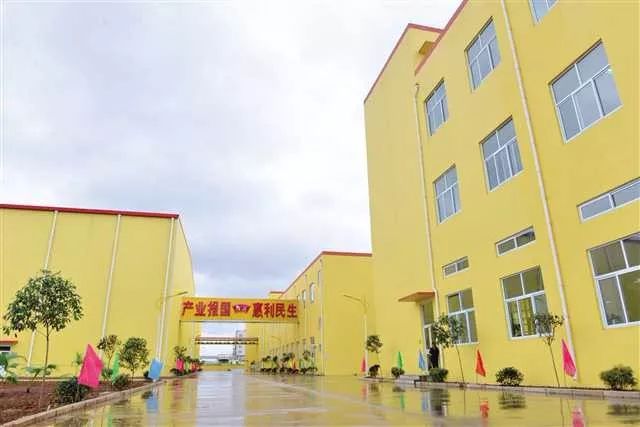 新增百亿级企业江津德感工业园新年牛牛牛