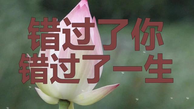 一曲伤感情歌听到撕心裂肺这一生我错过了你