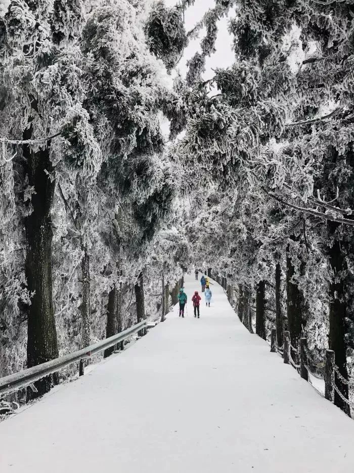 余位5个1月1819日冰雪南岳衡山雾凇云海徒步朝圣天路走进白色梦幻世界