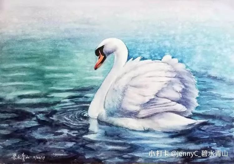 水彩公开课回顾让天鹅带你走出舒适区