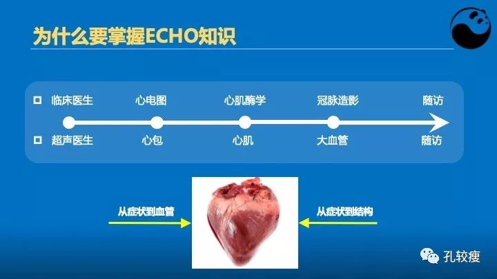 心脏介入医生应该掌握的超声心动图知识_患者