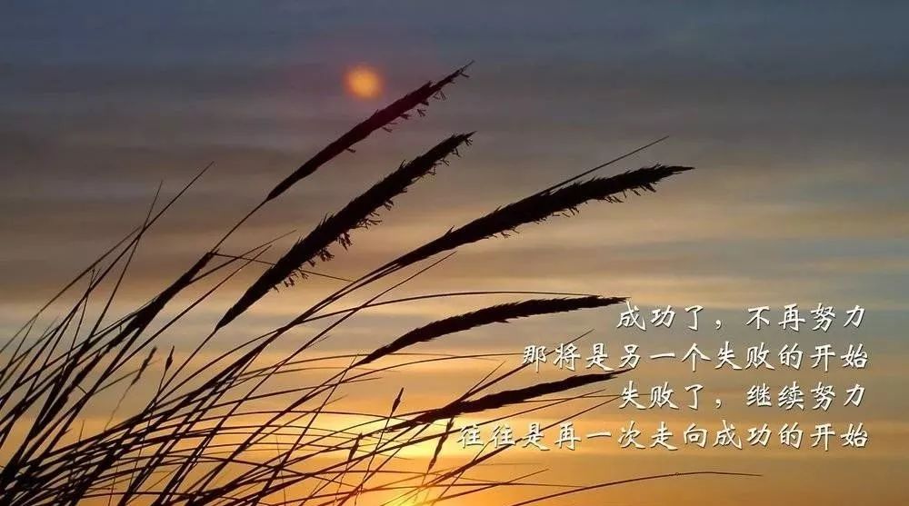 职场励志文章:人生低谷要如何挺过去 | 文案咖网_【朋友圈,抖音短视频