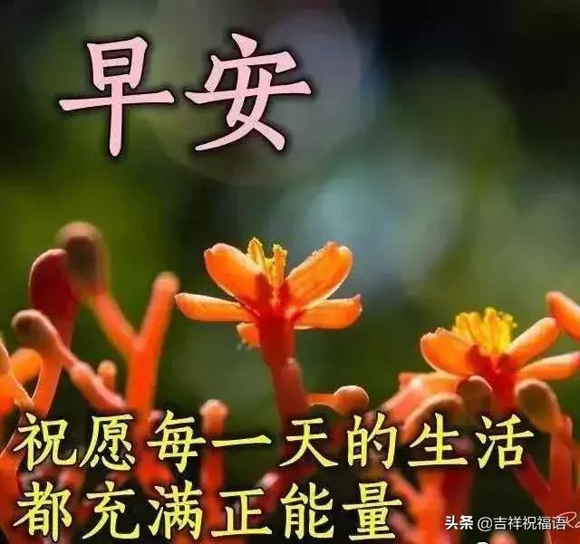 早晨好唯美圖早上好的圖片表情帶問候句子