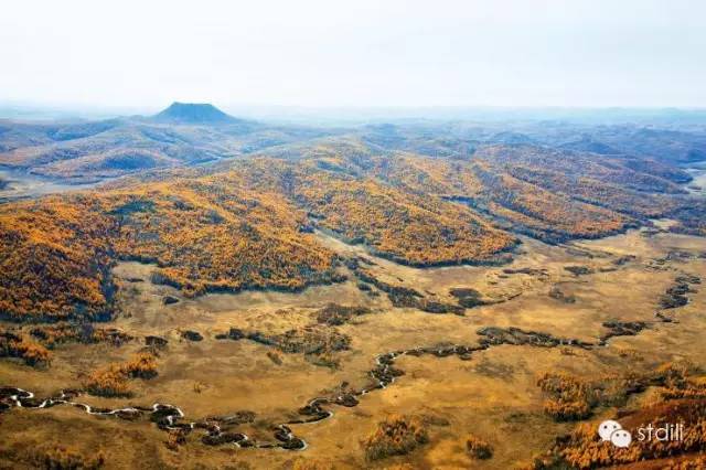 森林在这儿止住了脚步:林线中国——《中国国家地理》单之蔷_高山