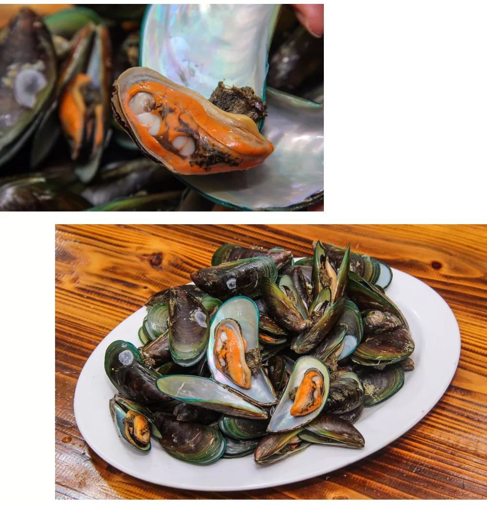 海鲜盛宴强势来袭▎正宗台山川岛海鲜全部都有海鲜控绝不可错过的一家