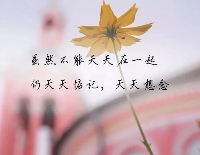 2020最新伤感说说