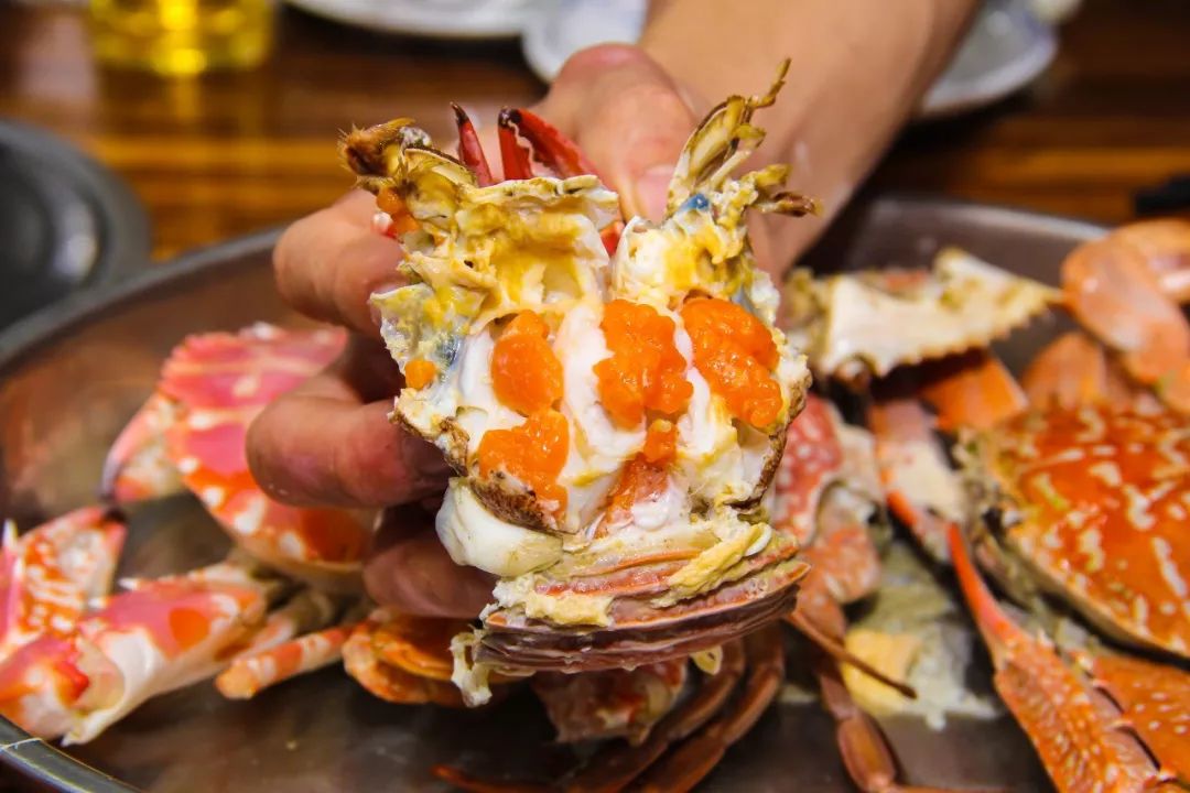 海鲜盛宴强势来袭▎正宗台山川岛海鲜全部都有海鲜控绝不可错过的一家