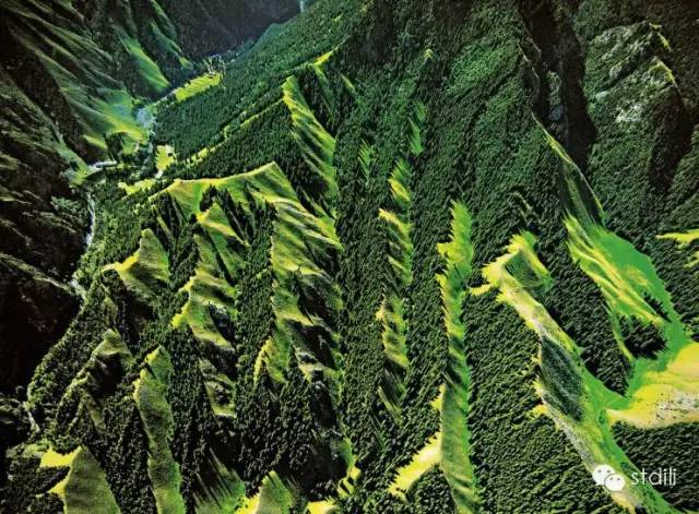 乌鲁木齐南山纬度:约北纬42度林线位置:海拔约2800米