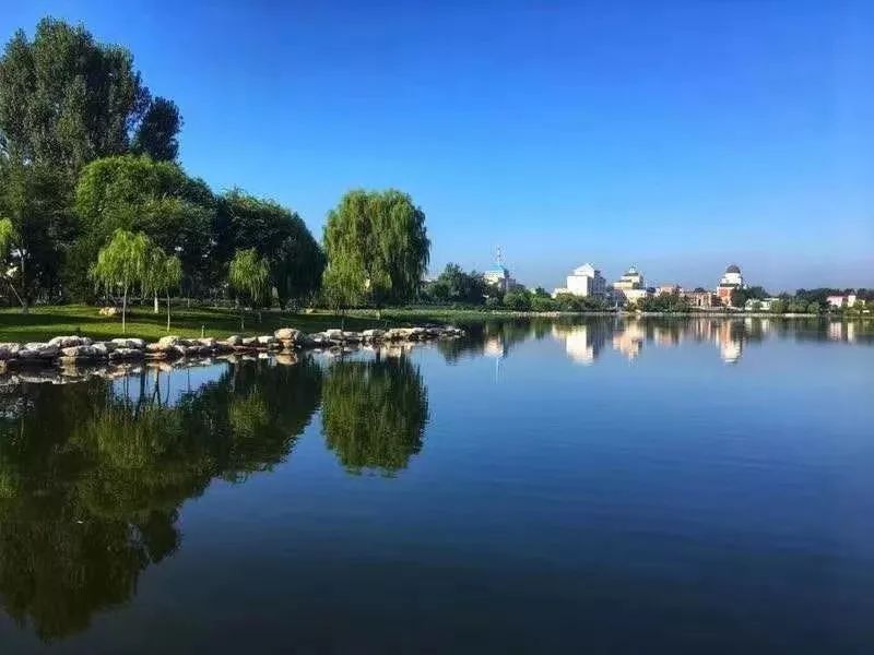 快來看這群小可愛要在夏都公園過冬啦