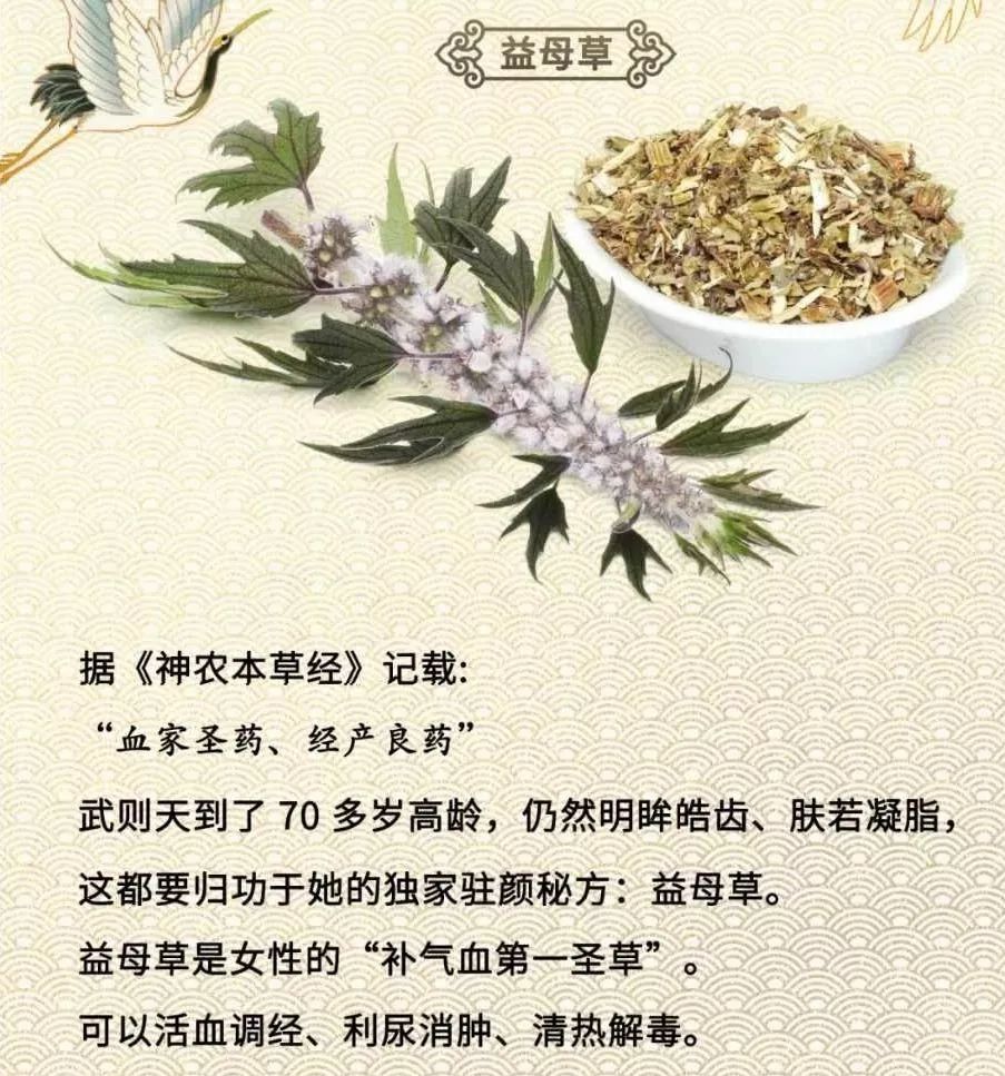 女皇武则天70多岁时,仍然明眸皓齿,肤如凝脂,就是 归功于益母草!