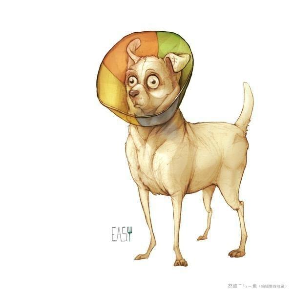 「转载」一组超酷炫的国外动物插画欣赏