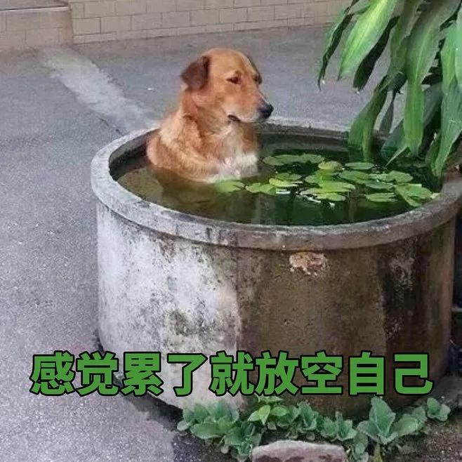 累的喘气图片