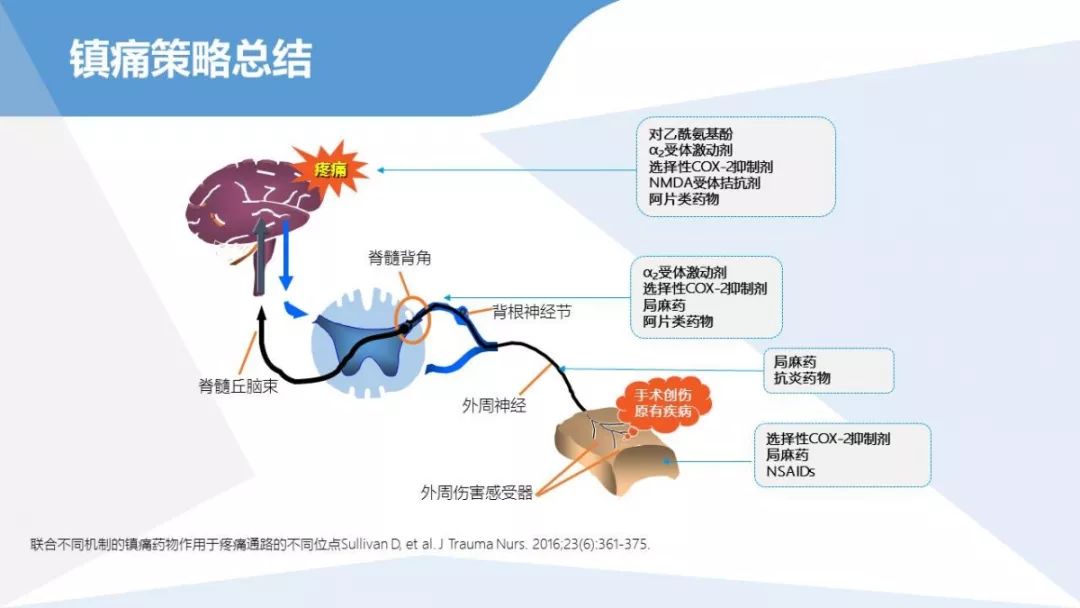 病例小结多模式镇痛可以有效减轻患者脊柱术后疼痛