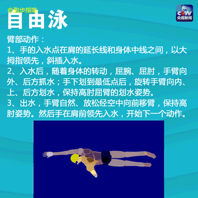 找了一组文字 动图的游泳教程,一次教你4种姿势,蛙泳,自由泳,仰泳