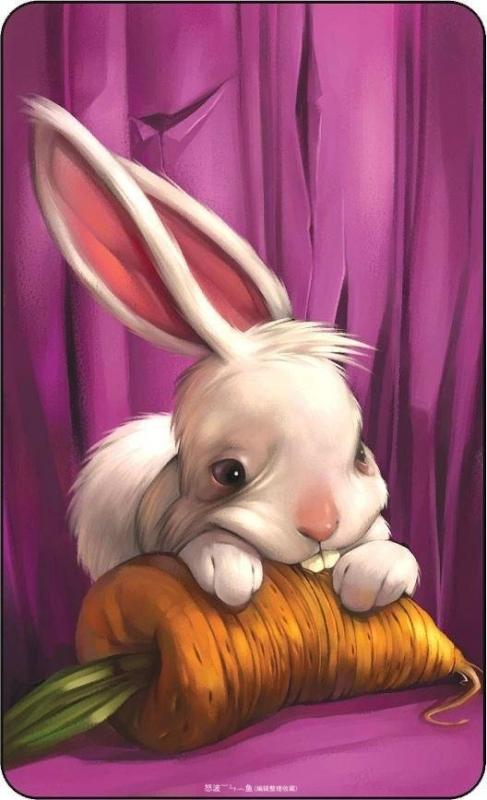 转载一组超酷炫的国外动物插画欣赏