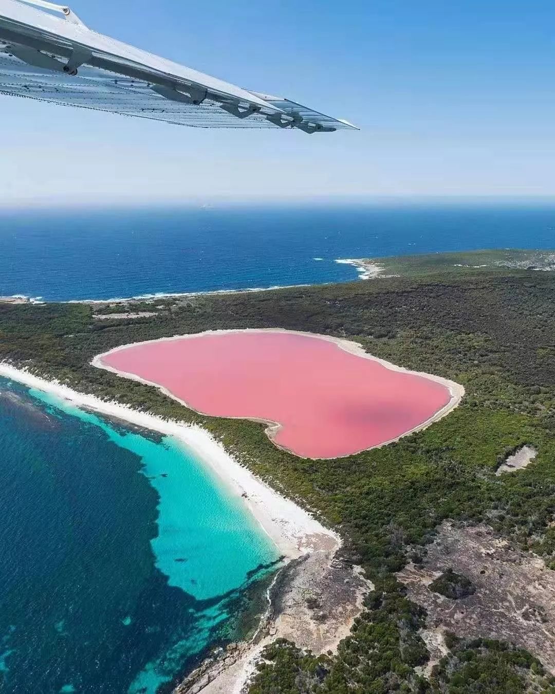 lake hillier应该是最出名的粉红湖之一,位于澳洲西南边最大岛屿
