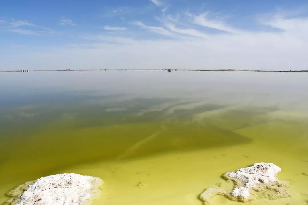 e公司调查st盐湖400多亿是怎么亏出来的知情人士技术和管理都不行专家