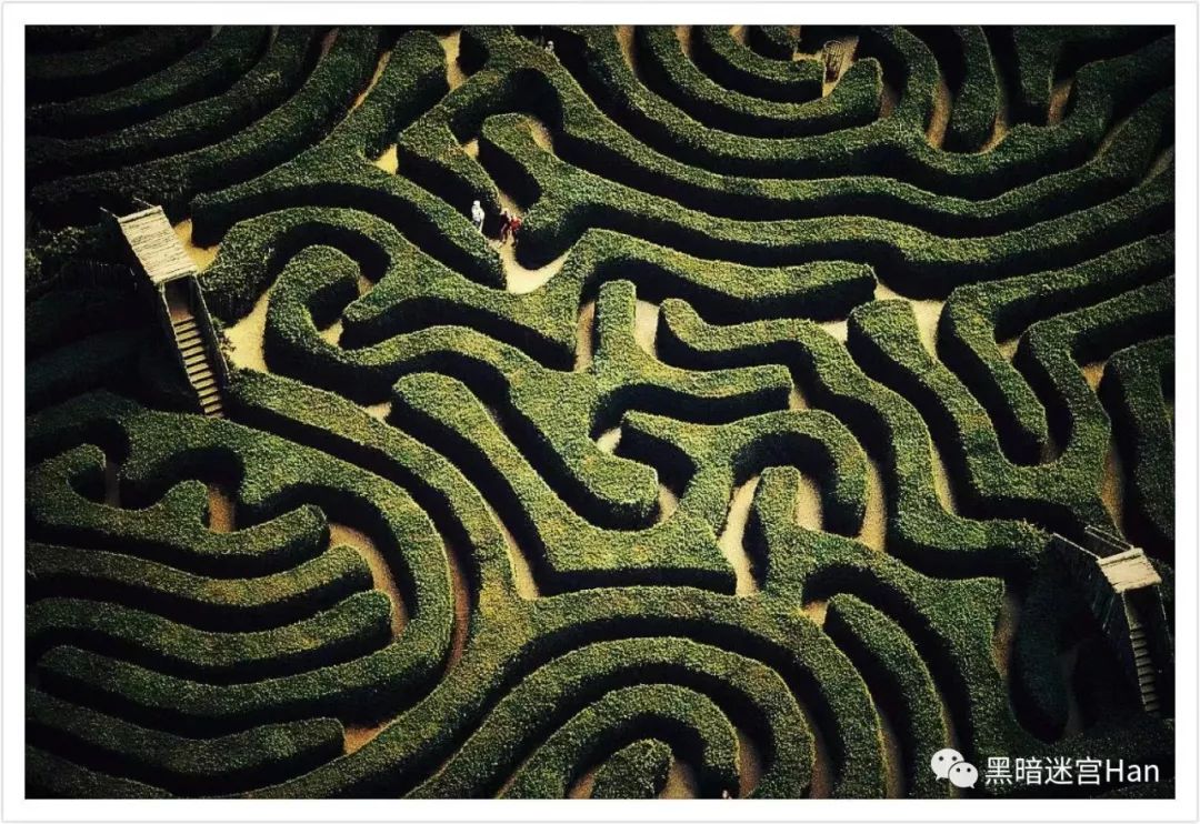 吓哭硬汉跪地直喊妈黑暗迷宫空降苍南太刺激了