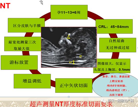 crl:顶臀径为颅顶经上颌骨中点至臀尾部,crl在11-13 6周确定受精时间