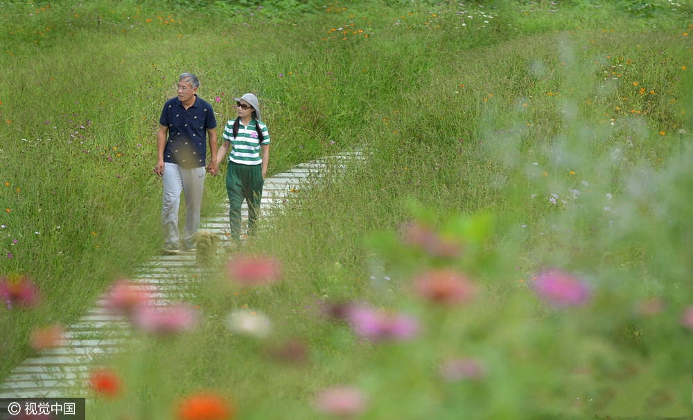 为妻打造1200亩鲜花山谷这对夫妇的爱情感动全中国