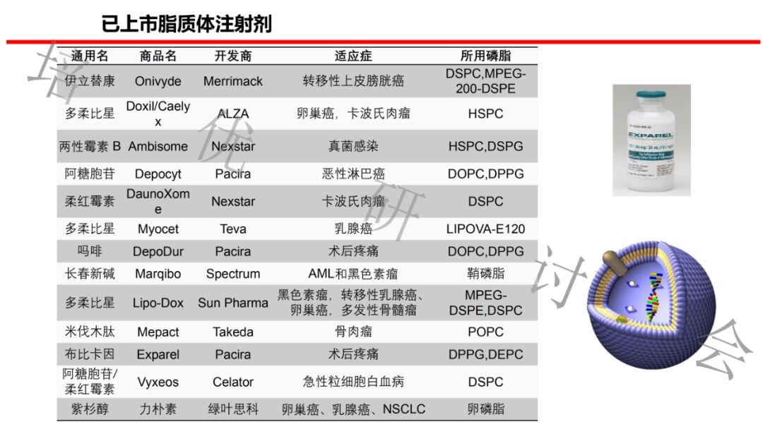 陈涛博士脂肪乳脂质体注射剂研发现状及前景展望ppt