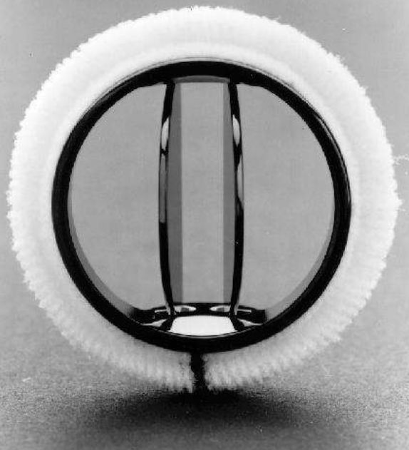 【分享】心脏换瓣手术:生物瓣or机械瓣如何选_瓣膜