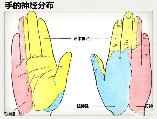 中老年人手指尖长期发麻可能是哪些疾病