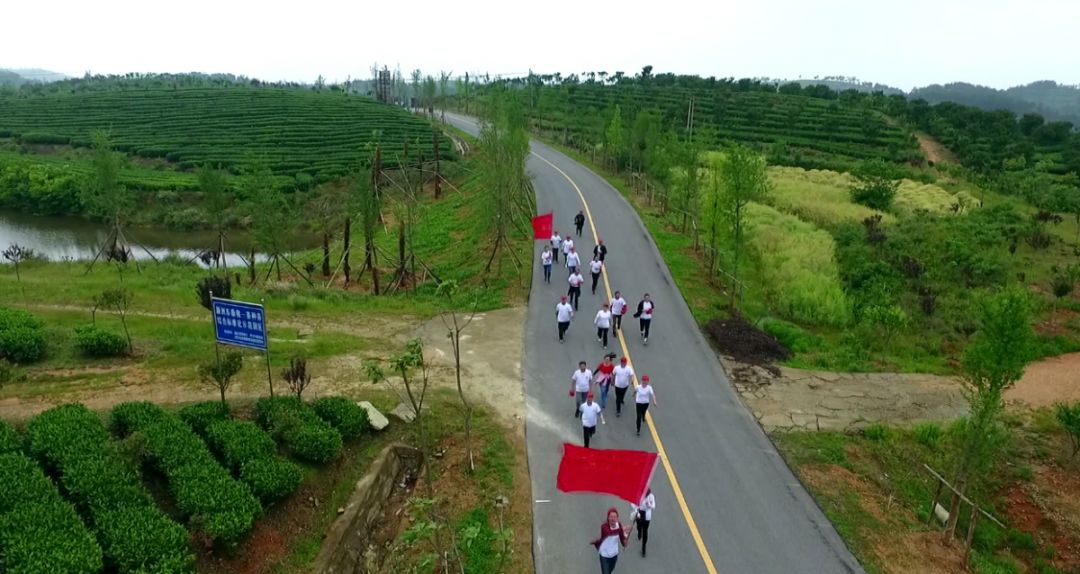 凤凰镇:以乡村振兴战略为抓手 打造凤凰乡村振兴示范带