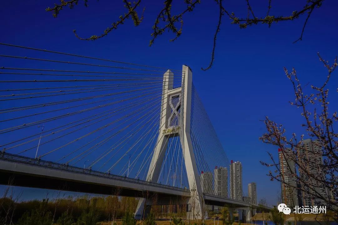 影像丨通州的桥